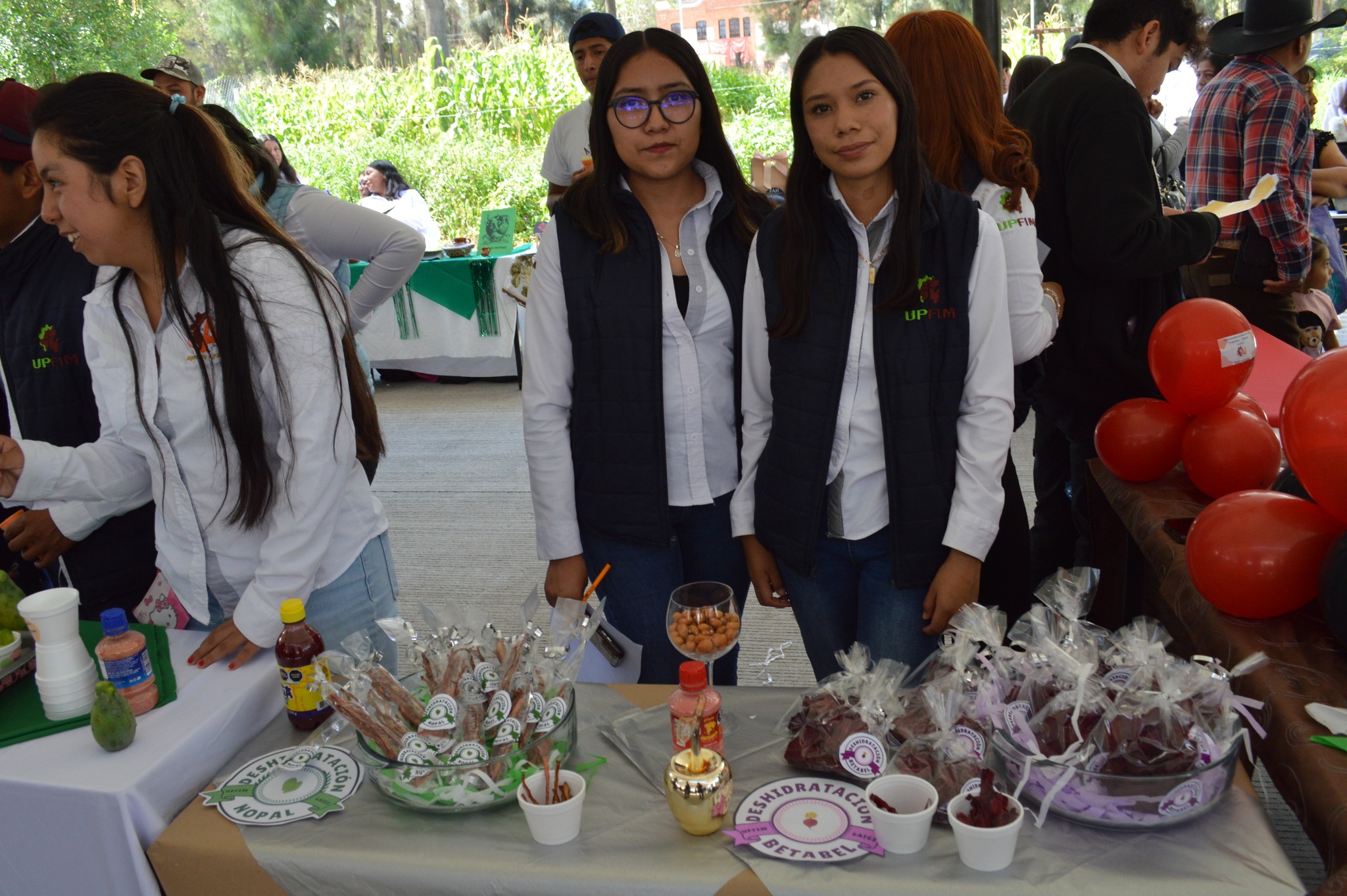 Exposición de Proyectos